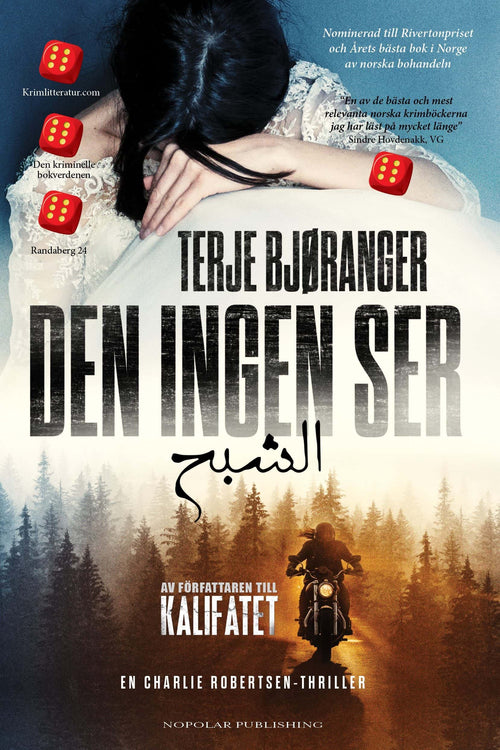 Omslag: Den ingen ser av Terje Bjøranger